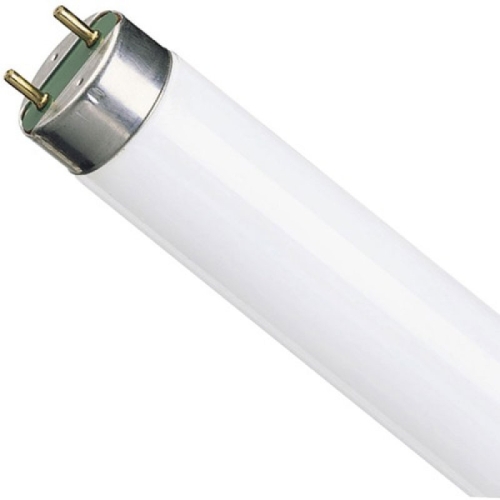 Лампа люминесцентная Osram 36Вт/640 230В (25шт)